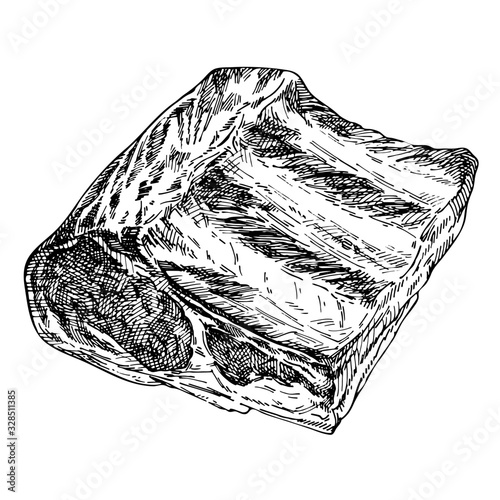 Hand drawn sketch of raw meat. detailed ink food illustration. Ribs. Steak meat, hand drawing on white background. 
