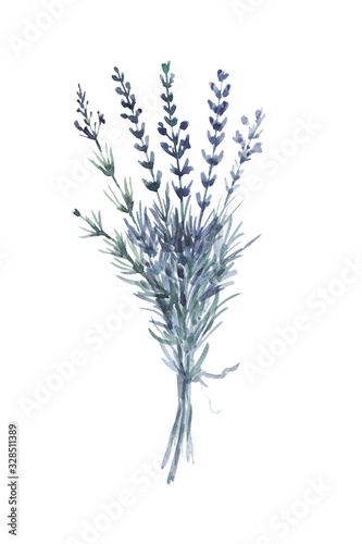 lavender flower twig plants flora spring watercolor purple lilac aromatherapy flowers