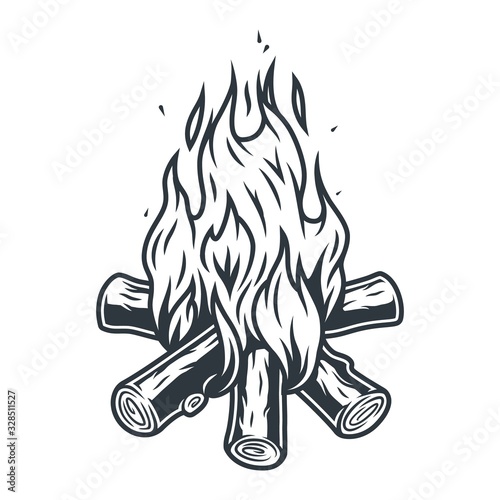 Obraz na plátně Burning bonfire with a large flame for camping