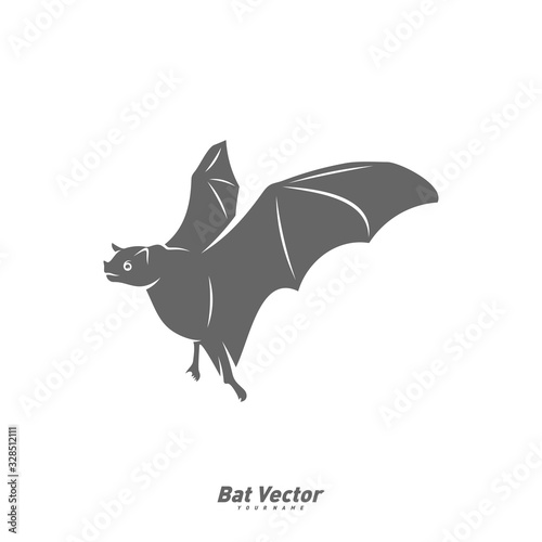 Bat logo vector template. Silhouette of bat design illustration