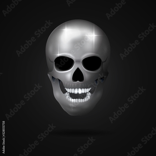 Metal skull on a black background. Vector illustration.