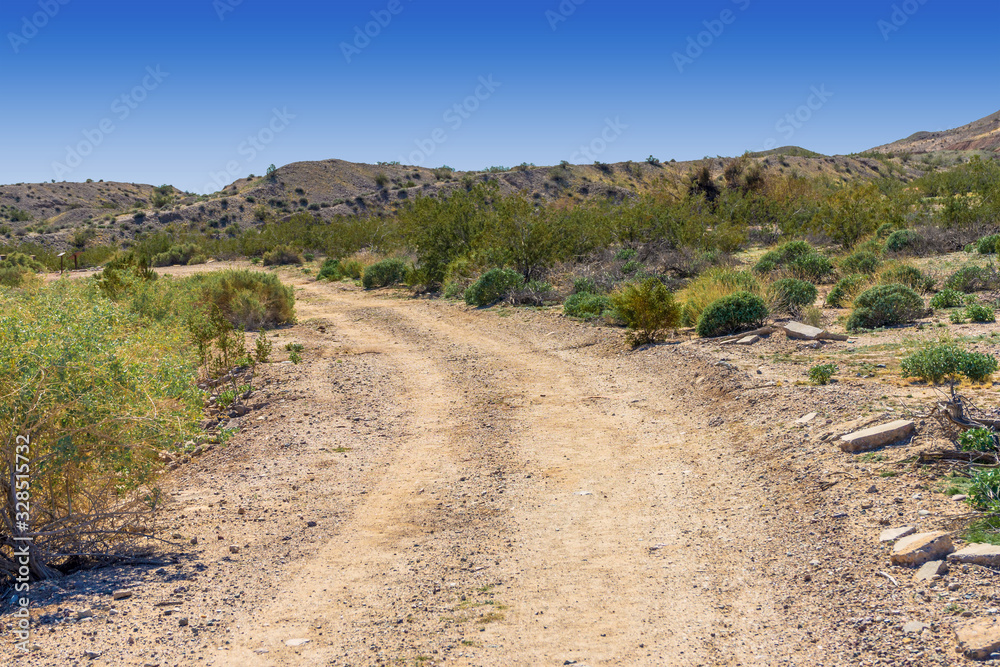 Curved dirt road in the Mojave Desert