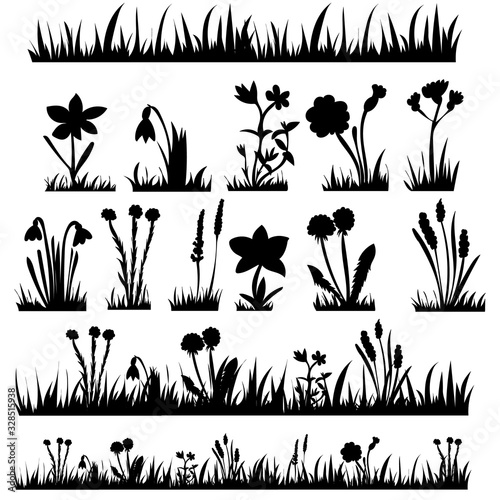 silhouette of grass and plants