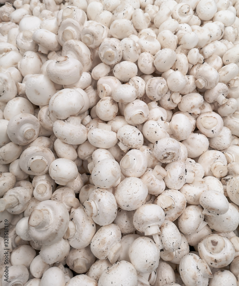 White champignons on a shelf in a store White champignons on a shelf in a store