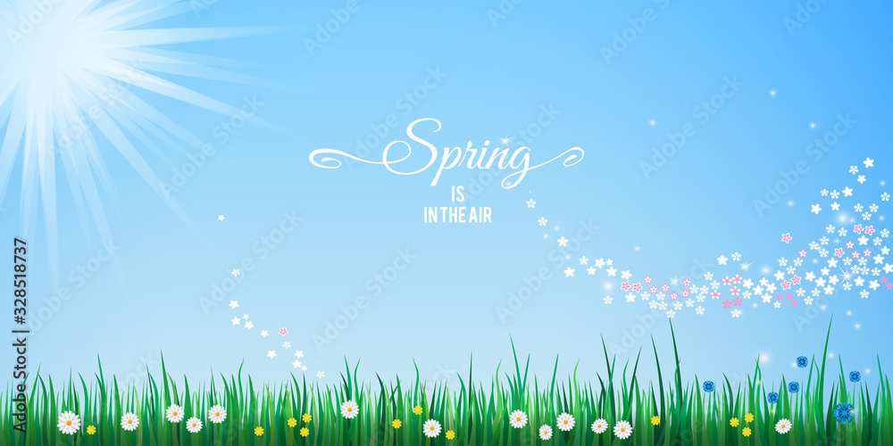 Hello Spring tender blue background with sparkling stream from sakura flowers. Abstract spring banner design with green grass border, blue sky and bright sun shining. Vector illustration