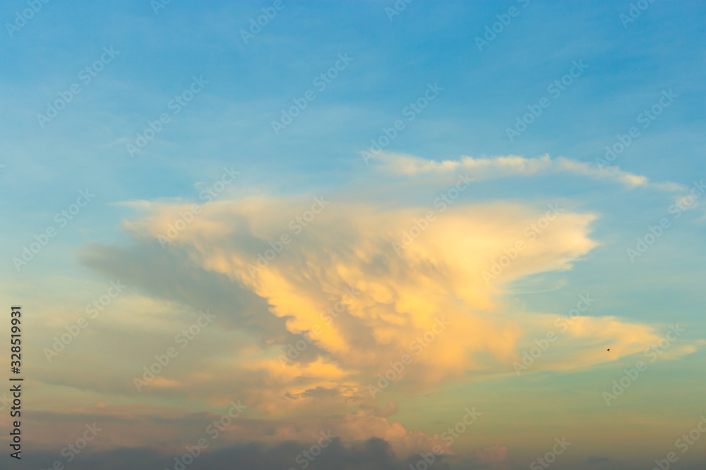 Beautiful big cloudy sky and silhouette bird evening time for background concept