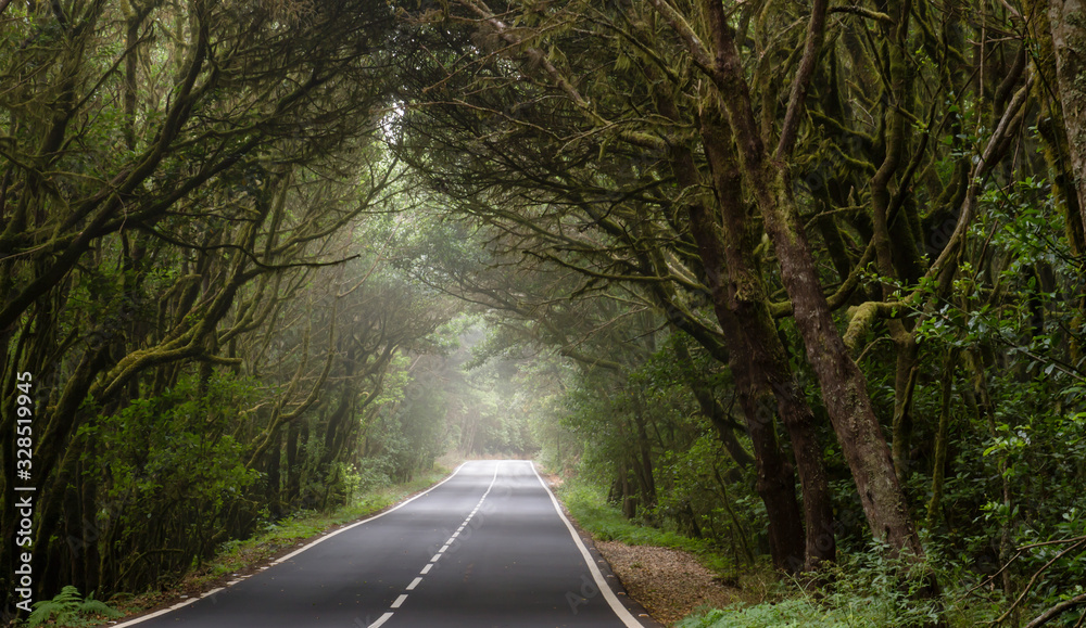 Obraz premium A road through a haunted forest