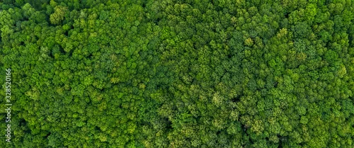 Panel kuchenny z motywem top view on the forest panoramic