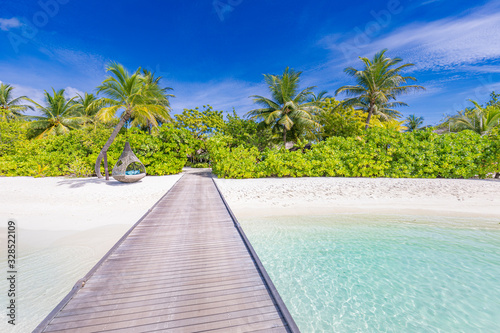 Maldives perfect paradise beach tropical island background. Beautiful palm trees, jetty beach landscape mood blue sky blue sea luxury travel summer holiday concept website design zen inspirational