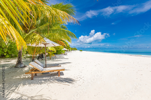 Coconut palm trees on white sandy beach, tropical nature landscape. Luxury summer vacation and holiday background. Loungers and palm trees close to the sea