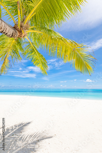 Fototapeta Naklejka Na Ścianę i Meble -  Summer beach concept. Palm leaves and blue sea over white sand. Paradise island concept, travel and vacation banner. Tranquility and relaxation pattern