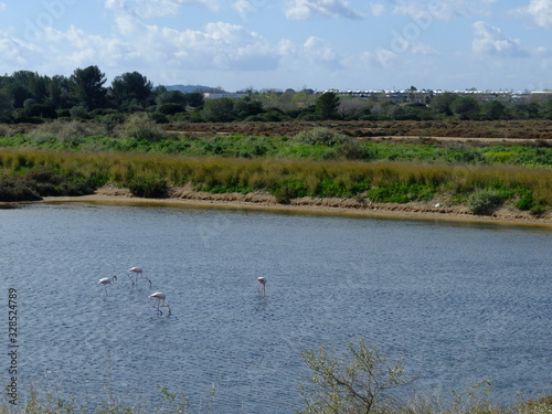 Vieux salins d'Hyères © michelgrangier