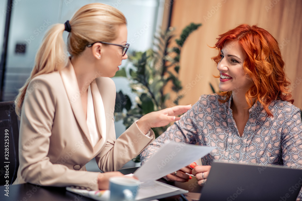 Two women with laptop in office. Two women with laptop in office.