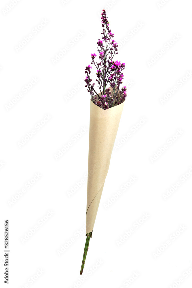 Bouquet of Cutter Aster isolated on white background Bouquet of Cutter Aster isolated on white background