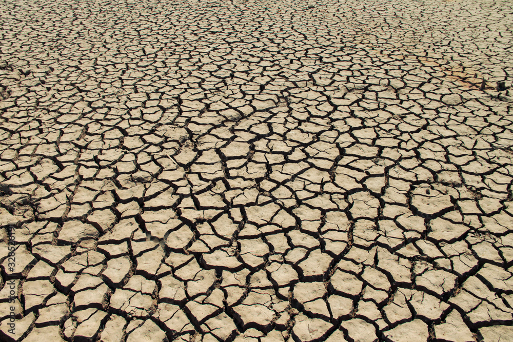 The drought land texture in Thailand. The drought land texture in Thailand.