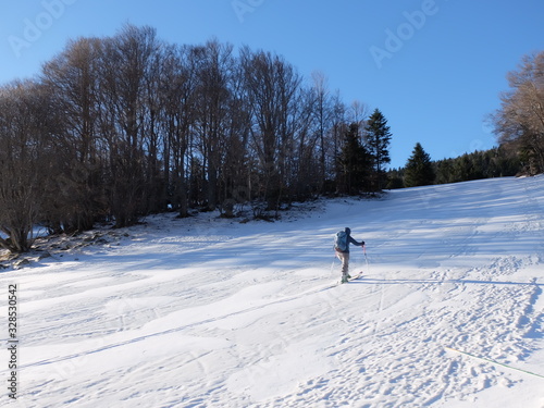 sklieuse de randonnée en ski dans la forêt en neige