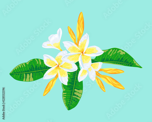 Tropical exotic plumeria leaves and flowers. Vector illustration isolated on background. Design element for poster, flyers, invitation, postcard, SPA, sticker, wedding.