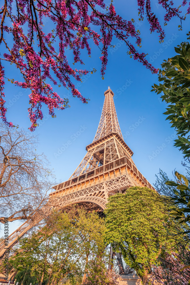 Eiffel Tower with spring trees in Paris, France