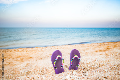 Two purple slippers stuck in the sand on the beach