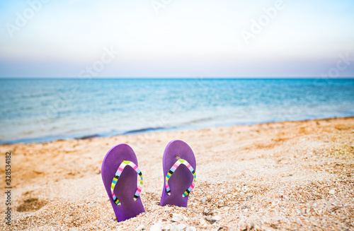 Two purple slippers stuck in the sand on the beach