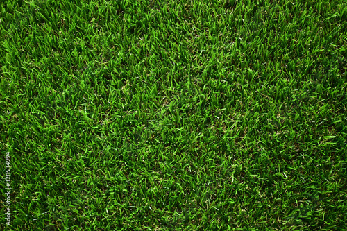 green grass turf floor artificial background
