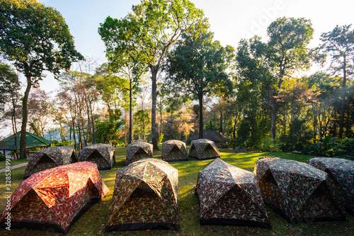 Tents forest in the Doi Suthep National Park chiangmai Thailand
