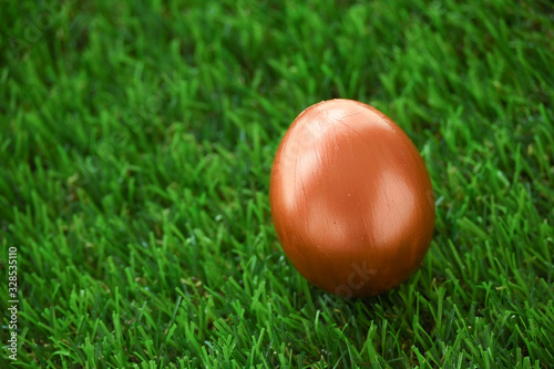 copper gold easter egg on lawn green grass