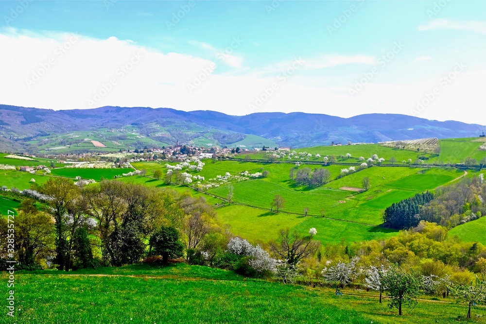 Obraz premium PAYSAGE MONTS DU LYONNAIS RHÔNE ALPES