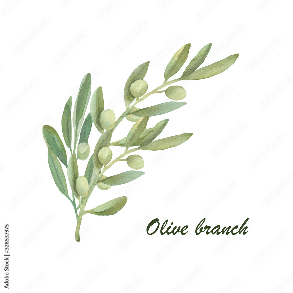 Watercolor olive floral illustration - olive branches for wedding stationary, greetings, wallpapers, fashion, backgrounds, textures,  wrapping, postcards, branding.