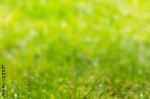 Abstract blurred background of green grass with white bokeh_
