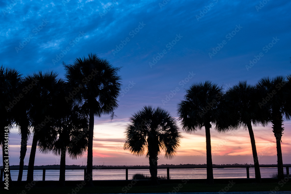 Obraz premium palm trees sunset golden blue sky backlight in mediterranean