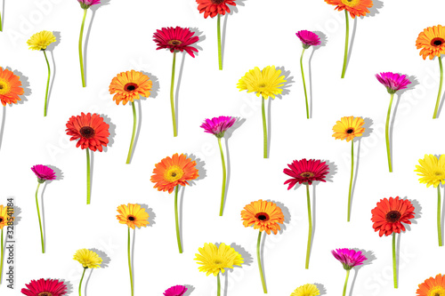 Floral arranged composition with different colors gerbera flowers with shadow on white background. Flat lay pattern, top view.