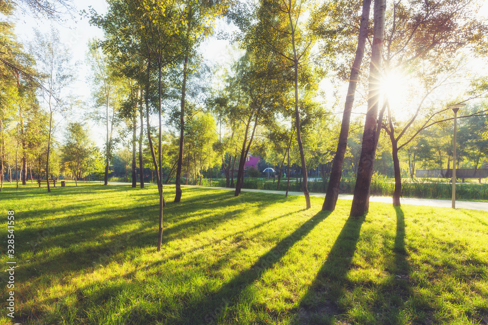 Sunrise beam in the beautiful summer park