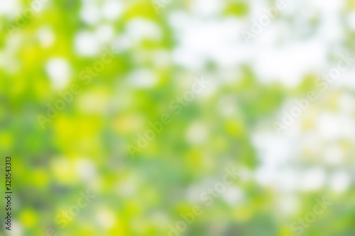 Blurred abstract green color for background, nature spring season for design. World Environment day and Earth day concept