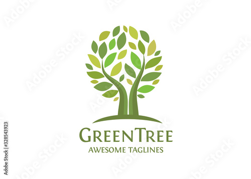 creative abstract circle tree with green leaves vector illustration