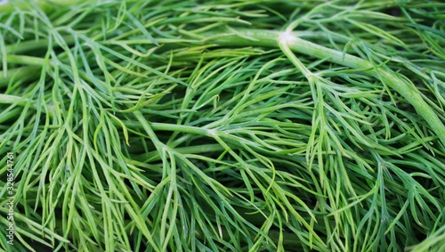 Full frame macro closeup of fresh natural dill herb tips
