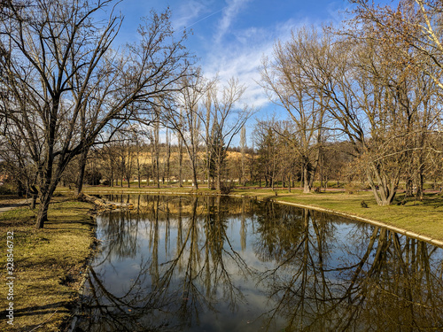 reflection of trees in water © Ilija