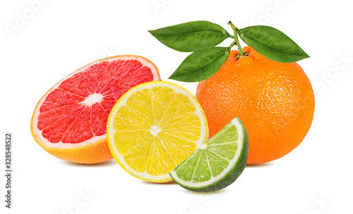 Citrus Fruit Set orange  grapefruit  lime  lemon isolated on white background.