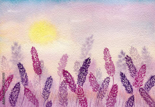 Watercolor lavender field in purple and pink hues, beautiful nature abstract landscape design