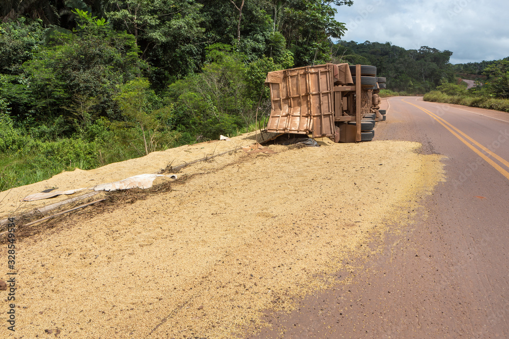 Overturned truck accident with soybean load spilled on the asphalt of the BR 163 road and trees of the Jamanxim national park in the Amazon rainforest. Loss of soy on BR-163, Para, Brazil.