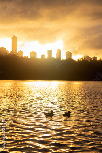 Burnaby, Greater Vancouver, British Columbia, Canada. Ducks swimming in Deer Lake during a colorful and vibrant winter sunset with Metrotown Buildings in the Background. photo