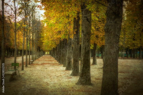 Parisian Garden