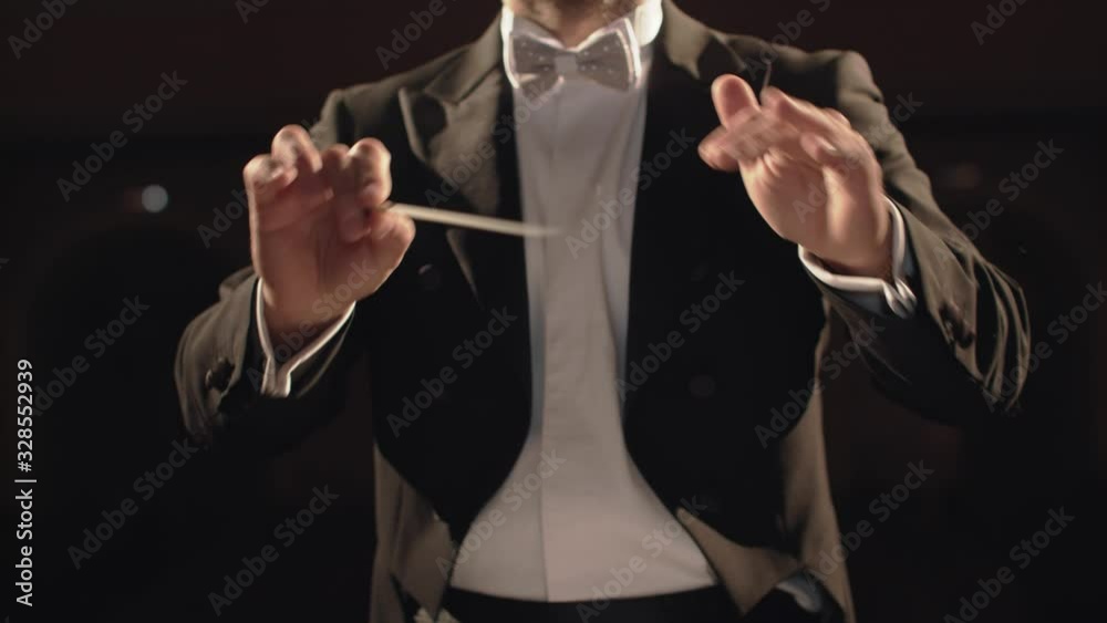 Philharmonic Concert. Hands Of Musical Conductor. Philharmonic Concert. Hands Of Musical Conductor.