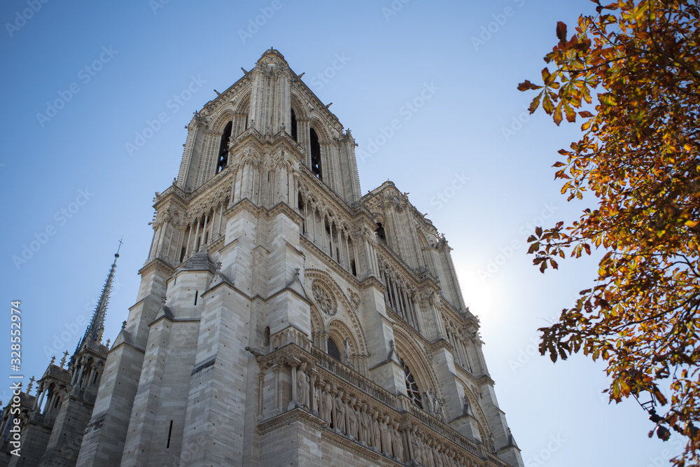 Fototapeta premium Notre-Dame