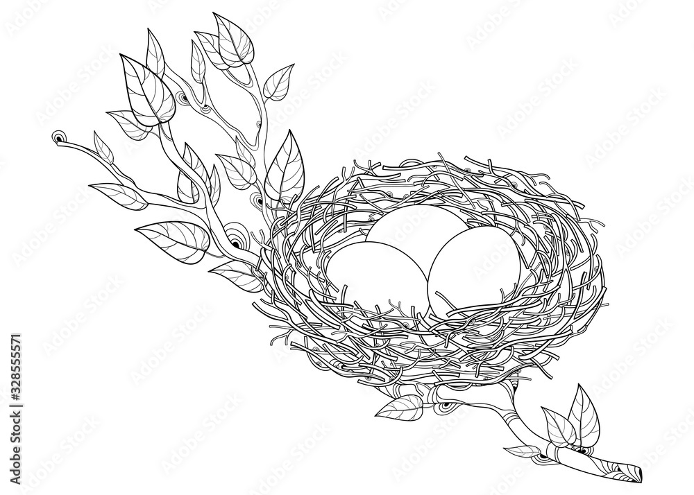 Outline spring tree branch with bird nest and eggs in black isolated on ...