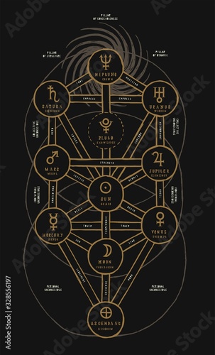 Sephirotic tree of life detailed. Kabbalah occult symbol. Vintage vector illustration. photo