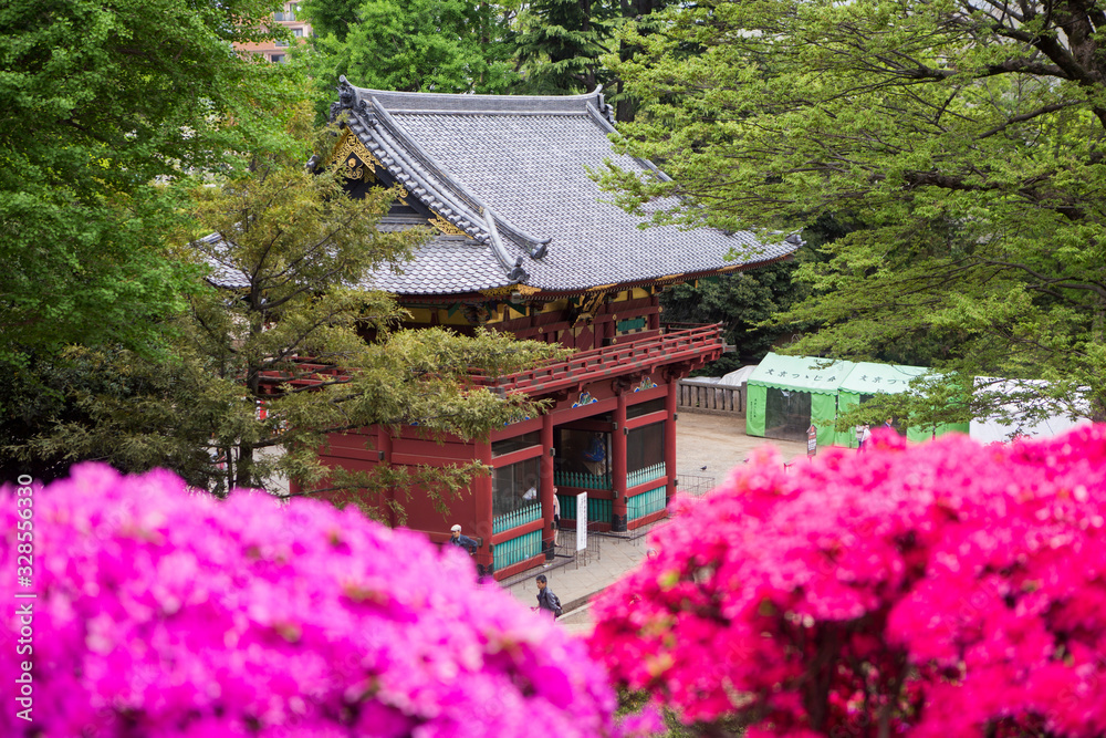 entrance of japanese shrine with colorful azalea flower garden entrance of japanese shrine with colorful azalea flower garden