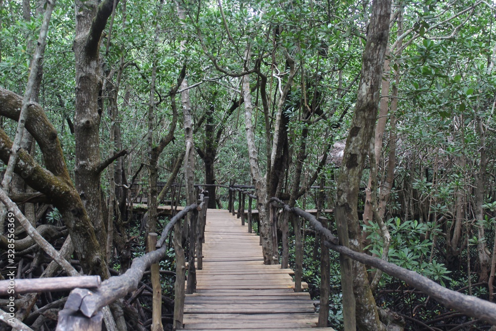 Obraz premium wooden bridge in the forest