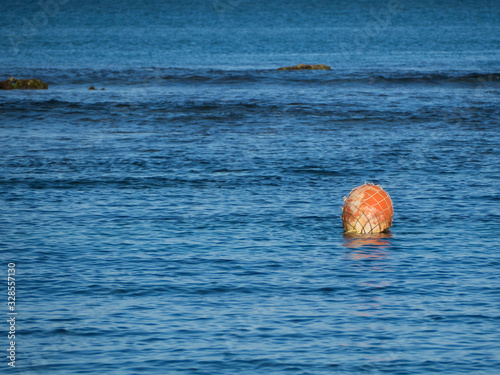 Red Buoy Floating on Ocean  photo