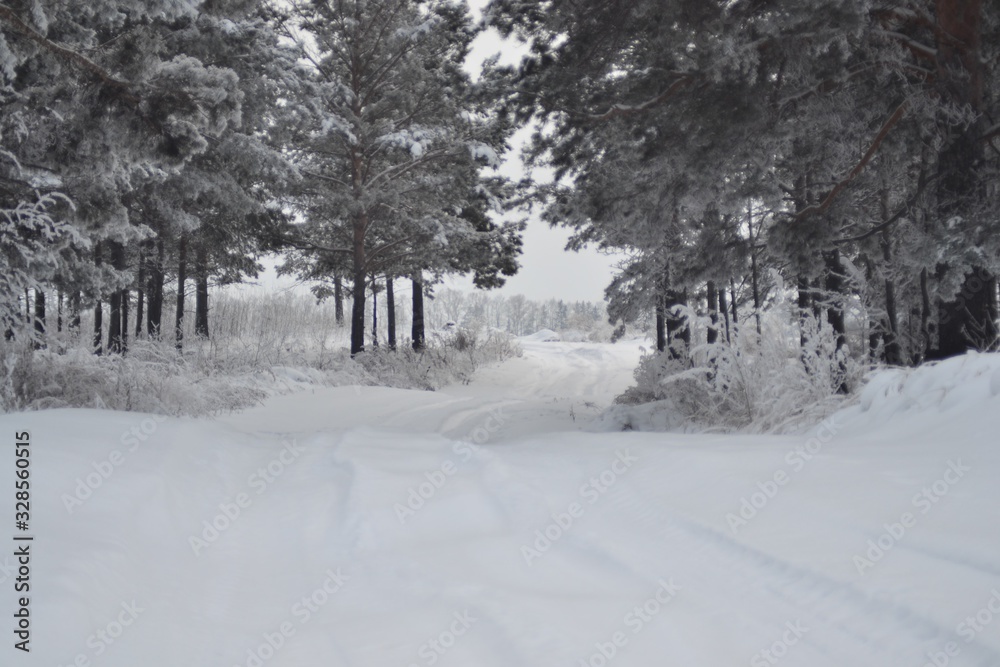 Snowy road in winter